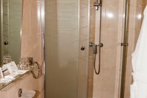 Отель Гончар. Комфорт двухместный double 8